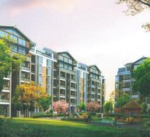 江油二手房爆料最新消息,揭秘价格走势与热门房源 第2张 江油二手房爆料最新消息,揭秘价格走势与热门房源 第2张